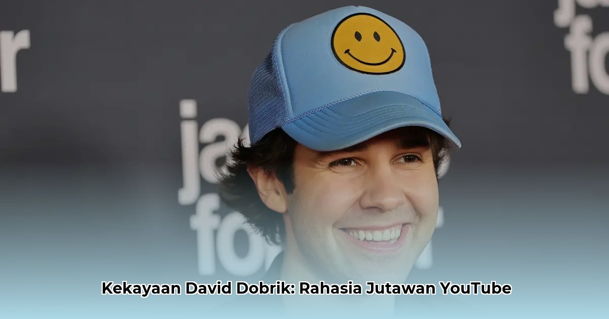 david dobrik s net worth